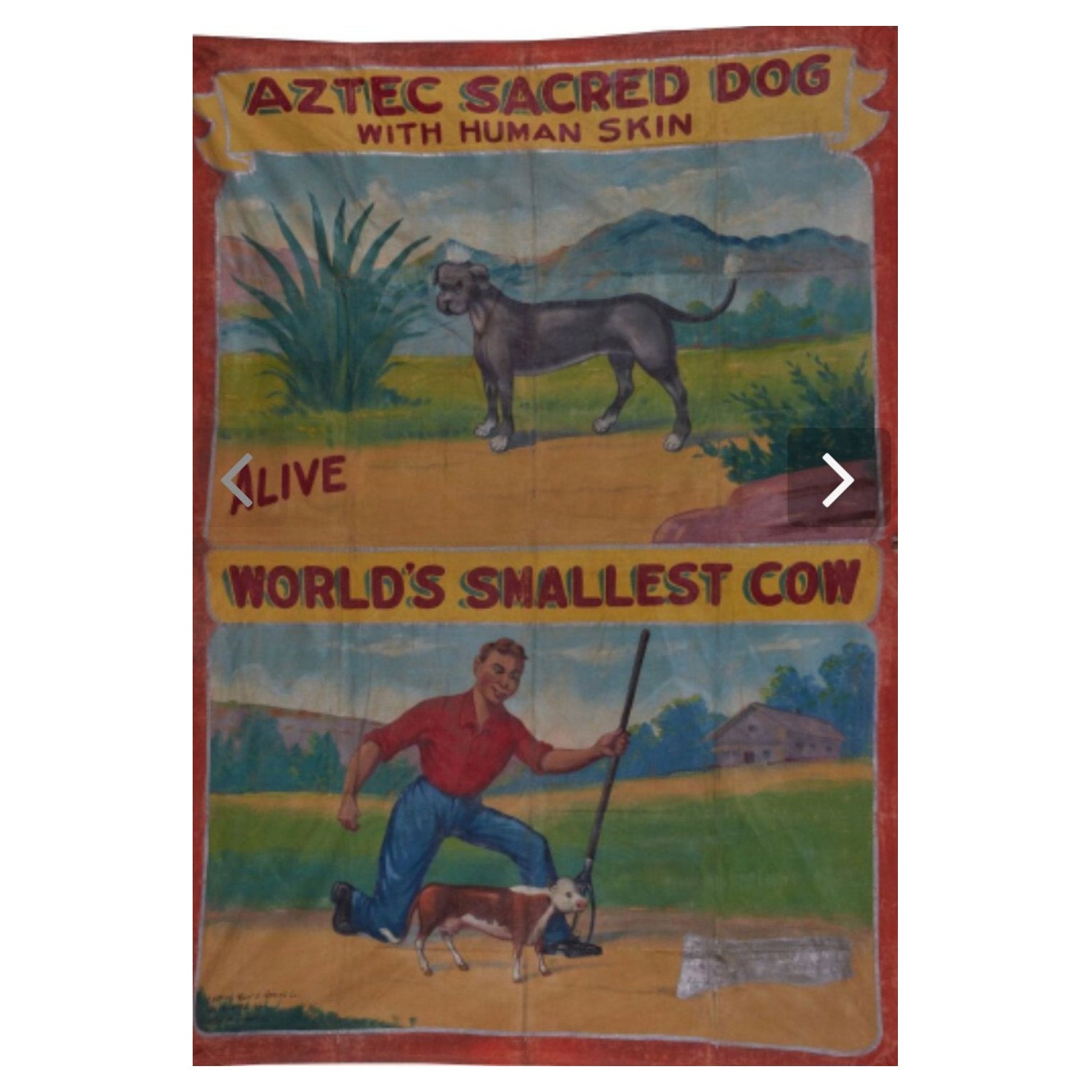 Wide Circus Banner by Johnson Fred G