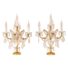 Lampes vintage en cristal Marie Therese Lampes de table en cristal en laiton doré une paire