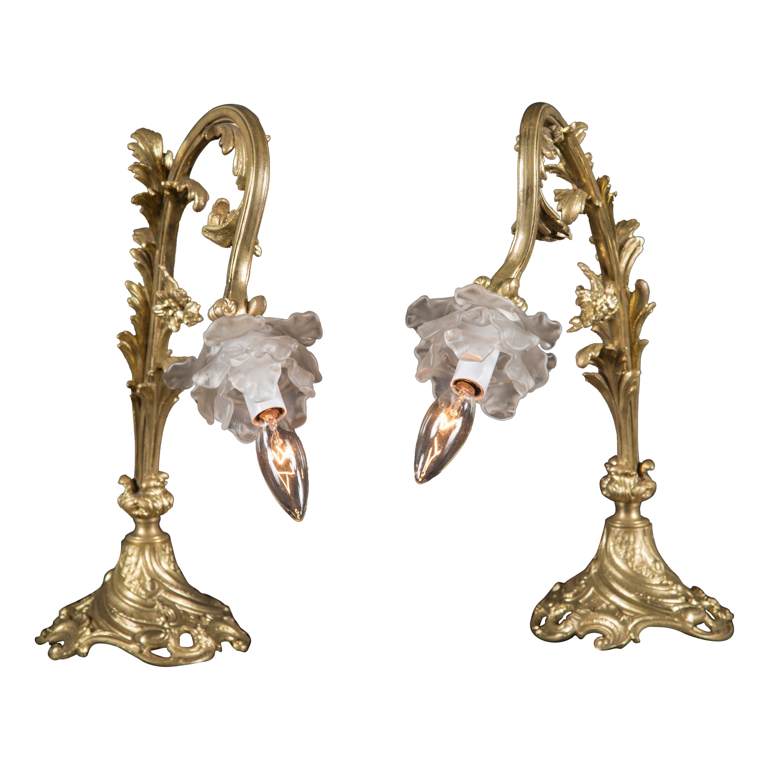 Pair of Art Nouveau Lamps with Delicate Satin Glass Roses, French, 19th Century