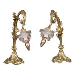 Used Pair of Art Nouveau Lamps with Delicate Satin Glass Roses, French, 19th Century