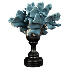 Mounted Blue Coral Specimen