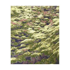 Various Pile Height Unusual Fluffy Handmade Rug, Mysterious Moss, in Stock