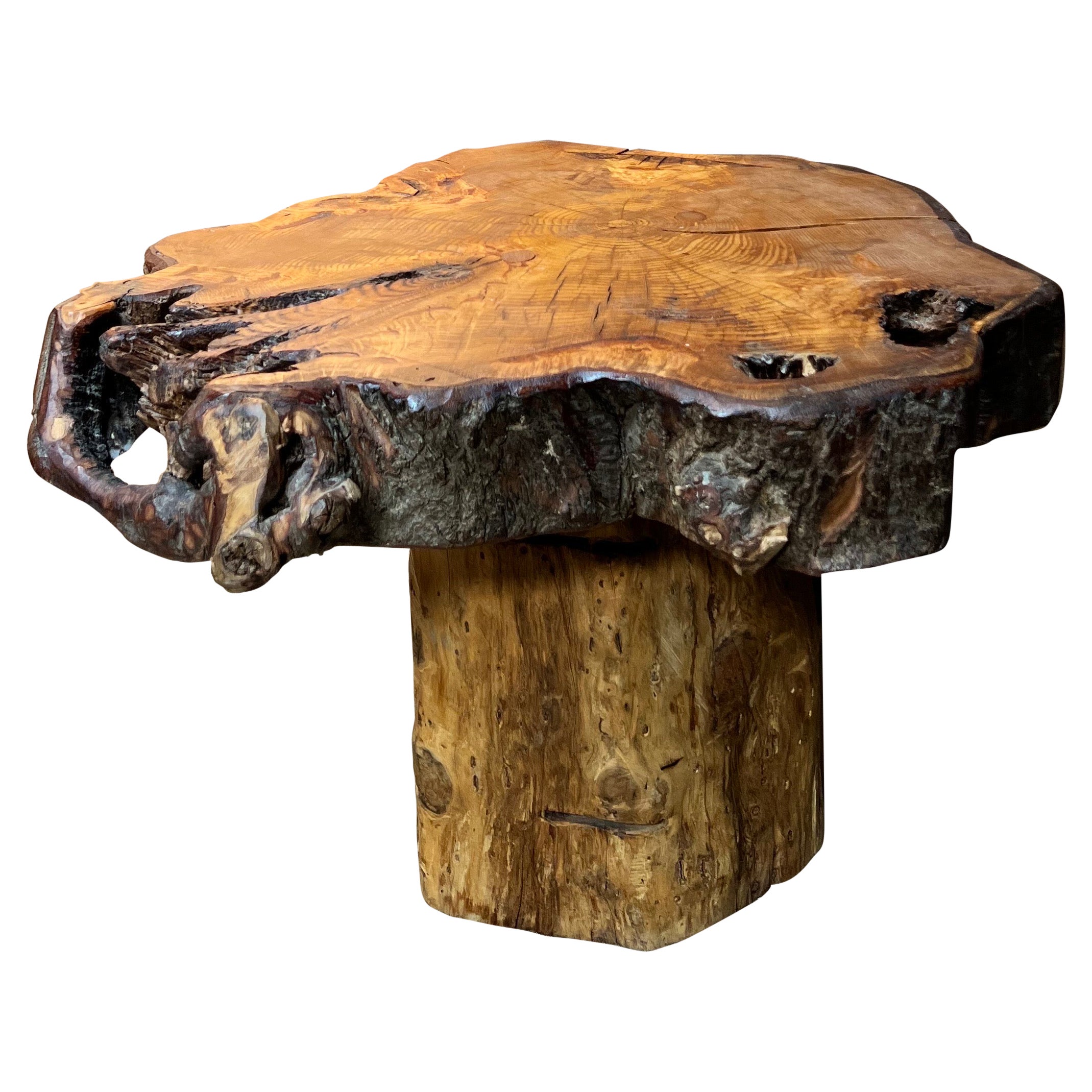 French Brutalist Tree Trunk Coffee Table, Nice Joinery, 1950s Handmade