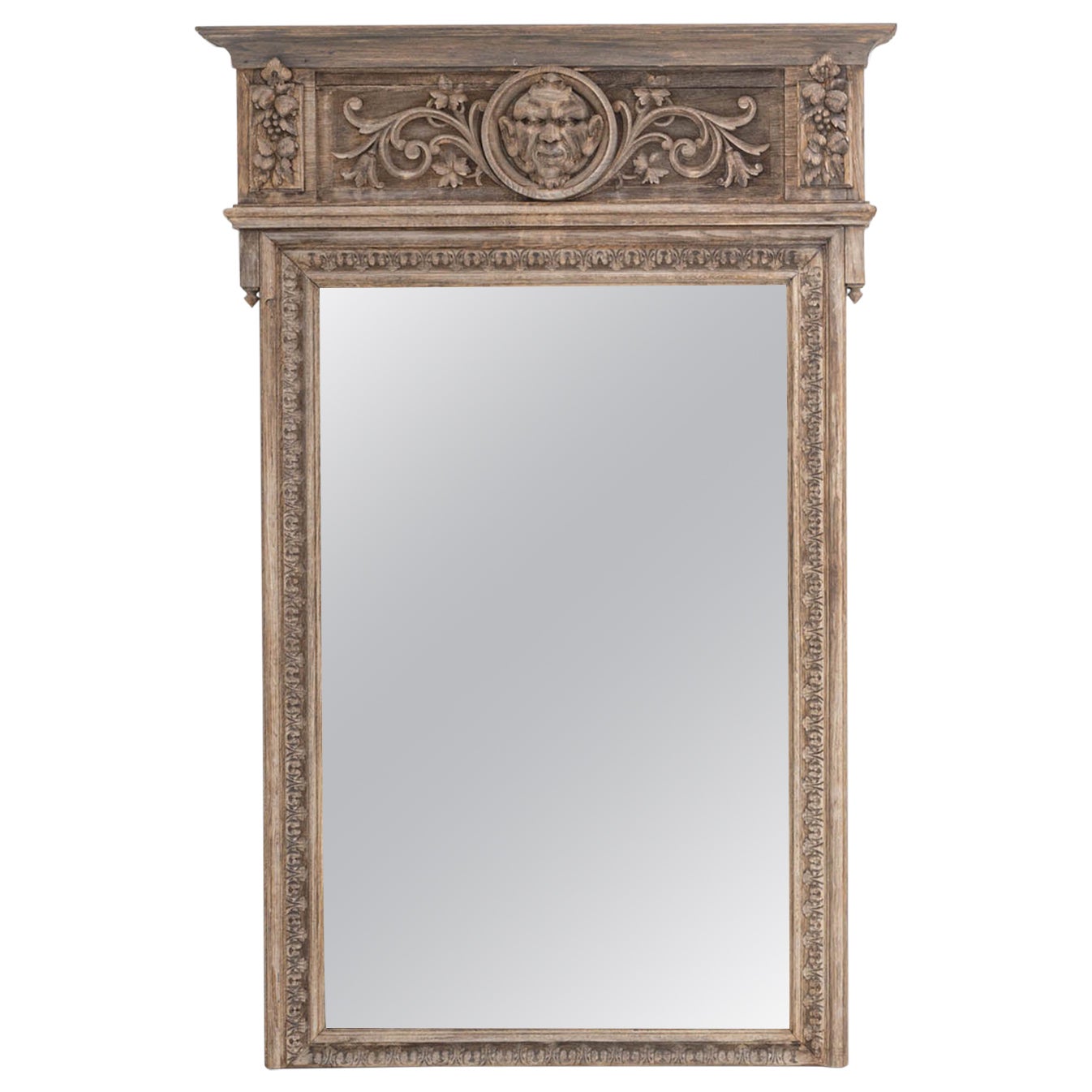 19th Century French Neo Renaissance Oak Trumeau Mirror