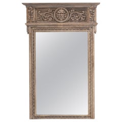 Antique 19th Century French Neo Renaissance Oak Trumeau Mirror