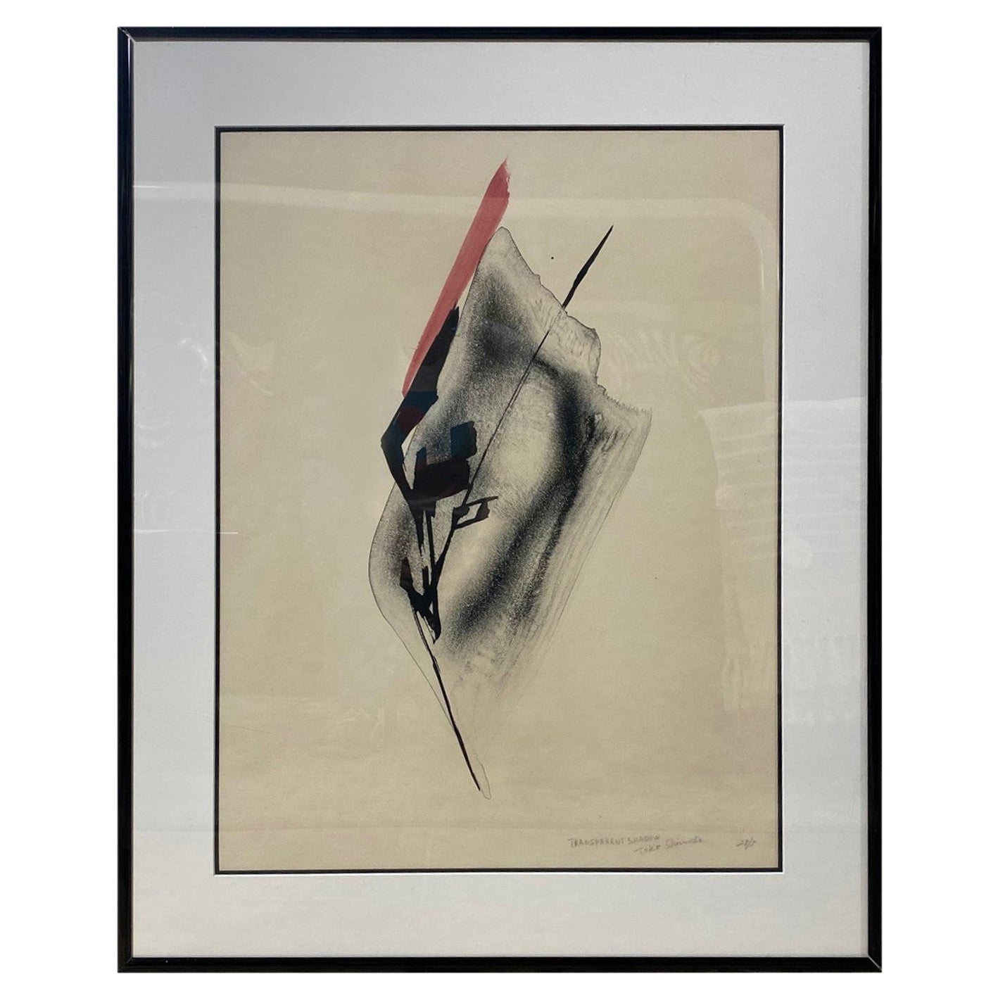 Toko Shinoda Signierte große japanische Lithographie „Transparentes Schatten“ in limitierter Auflage