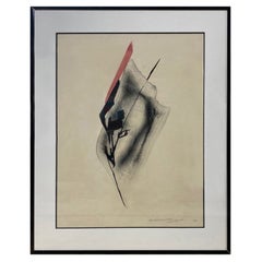 Toko Shinoda firmato grande litografia giapponese in edizione limitata, ombra trasparente