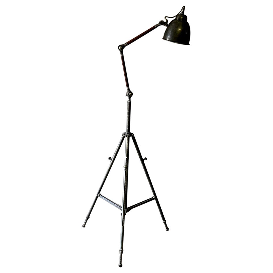 Adjustable Iron Floor Lamp