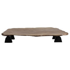 Wabi Sabi Primitive Naturalistic Japanese Low Table