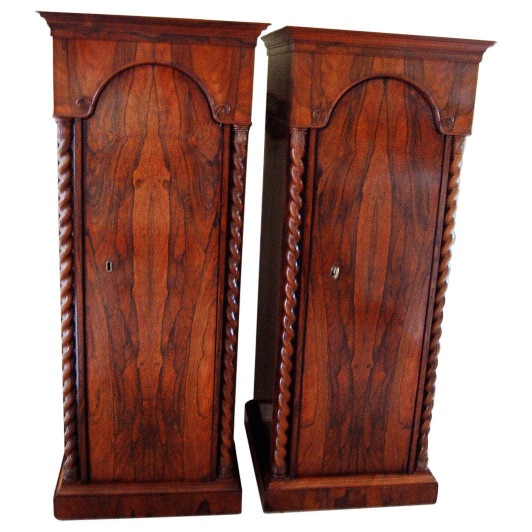 English Mid-19th Century Pair of Pedestal Cabinets with Barley Twist Columns For Sale