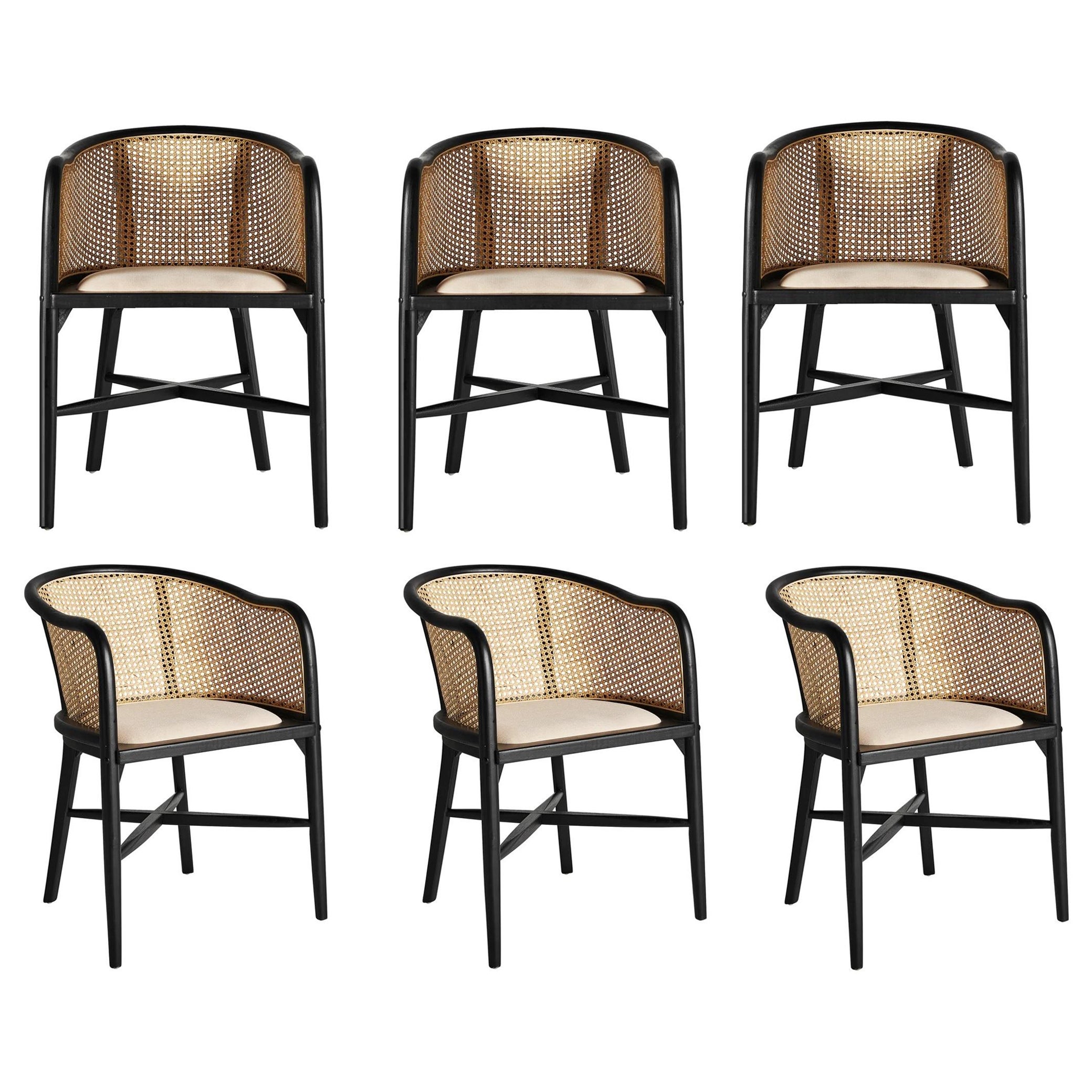 In-Stock, Set of 6 Rattan Dining Chairs in Black Birch Frame For Sale ...