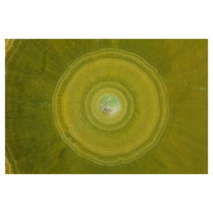 Micro Cosmic Photographic Print 09 by Desia Ava