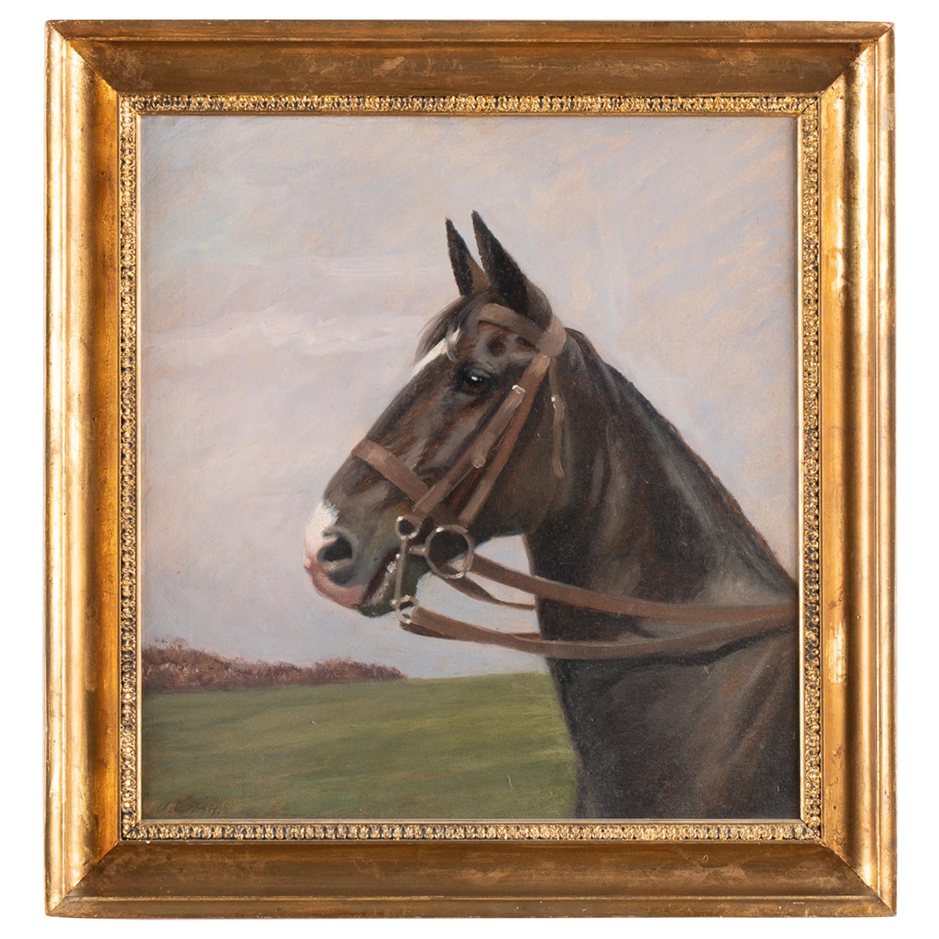 Oil on Canvas Painting of Black Horse by Adolf Heinrich-Hansen Signed circa 1920