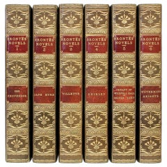 Antique Novels of Charlotte, Emily, & Anne Bronte - 6 Vols - 1922 - ILLUSTRATED BY DULAC