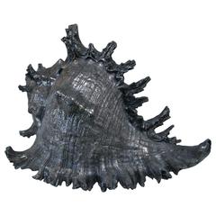 Italian 1960s Pewter Shell 10