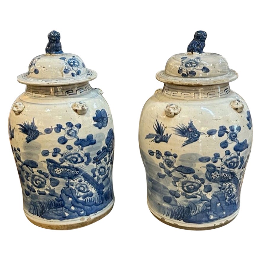 Pair of Early 20th Century Chinese Blue and White Porcelain Jars