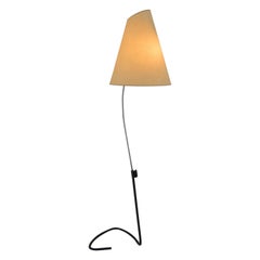 Rare Floor Lamp by Josef Hurka, 1960s, Perfect Condition