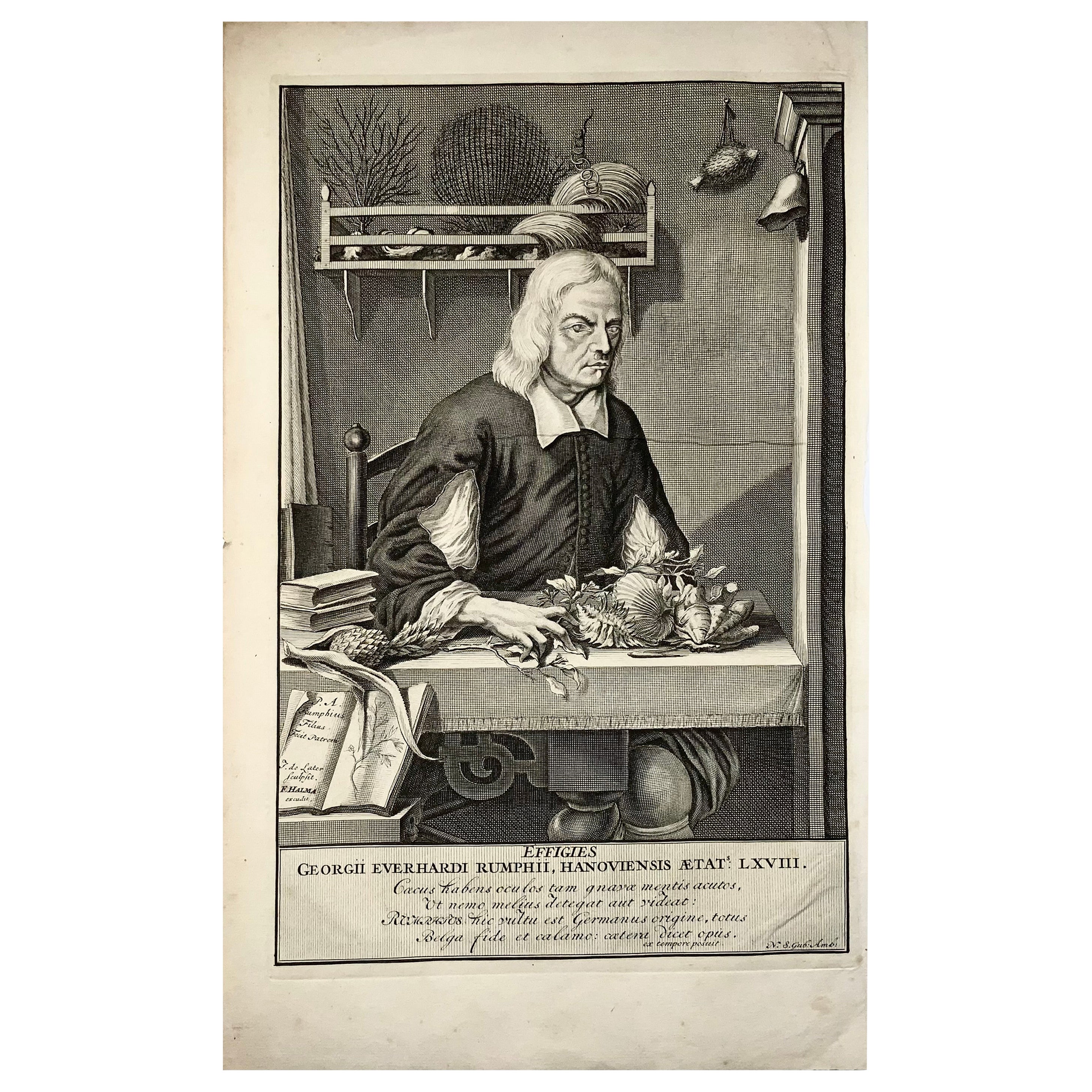 1741 Portrait of Georg Eberhard Rumphius, Naturalist, Botanist, Large Folio For Sale