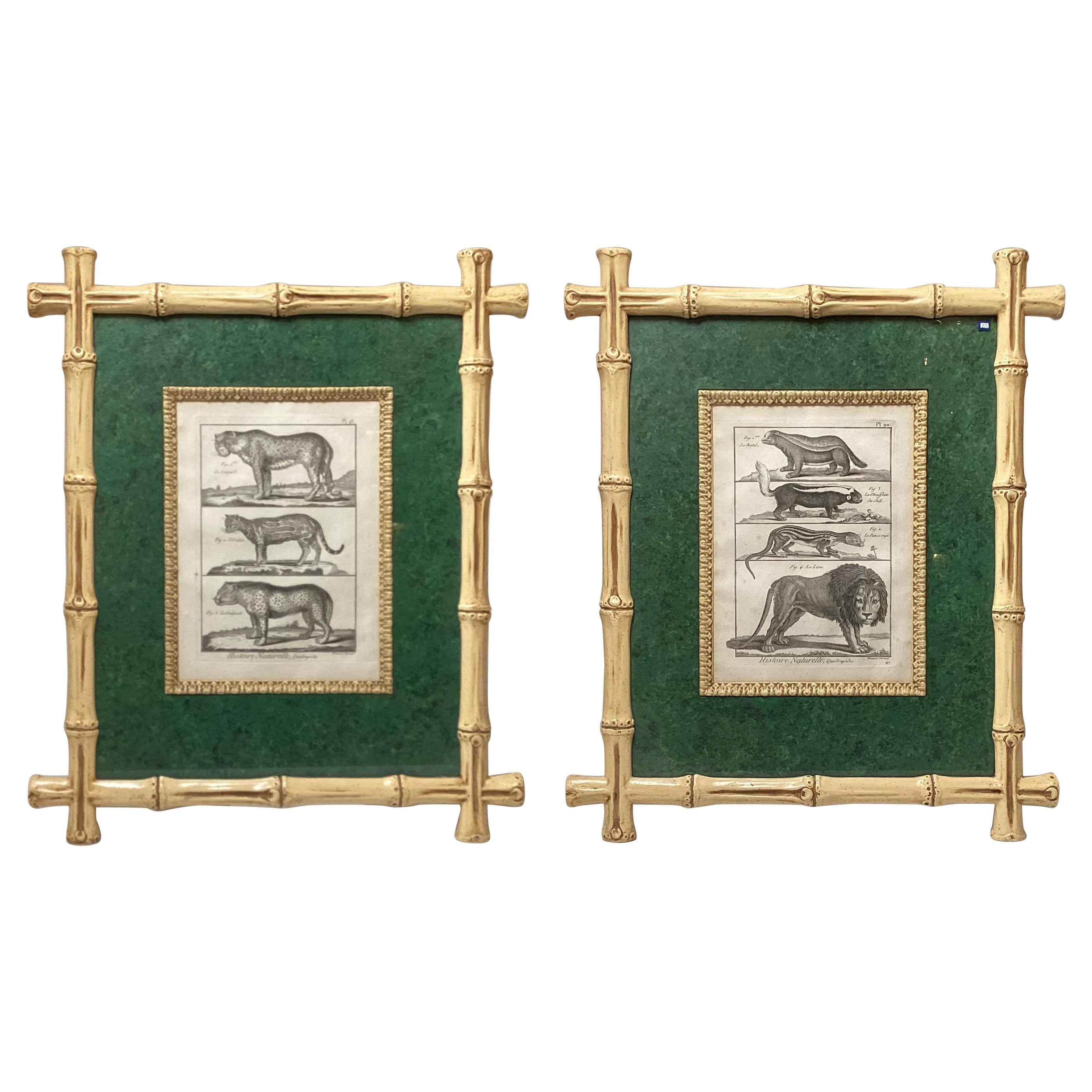 Ein Paar französische Gravuren aus dem 18. Jahrhundert in Rahmen aus Kunstbambus