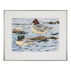 Lars Jonsson, Goosanders Norderstrand, Watercolor Painting