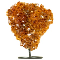 Grappe de citrine de Madère naturelle brute avec druze de citrine orange rouge AAA sur Stand