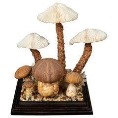 Mushroom Diorama: Composition Created Using Seashells, Coral and Crustaceans