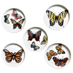 Fornasetti Butterfly “Farfalle” Ceramic Hand-Painted Coasters Set of 5