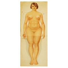 Antique Foldable Anatomical Brochure Depicting Female Anatomy