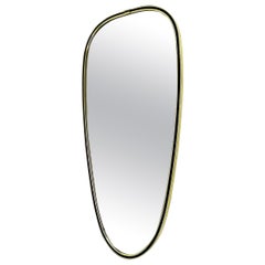 Large Vintage Wall Mirror, Kidney Shaped, 1950s