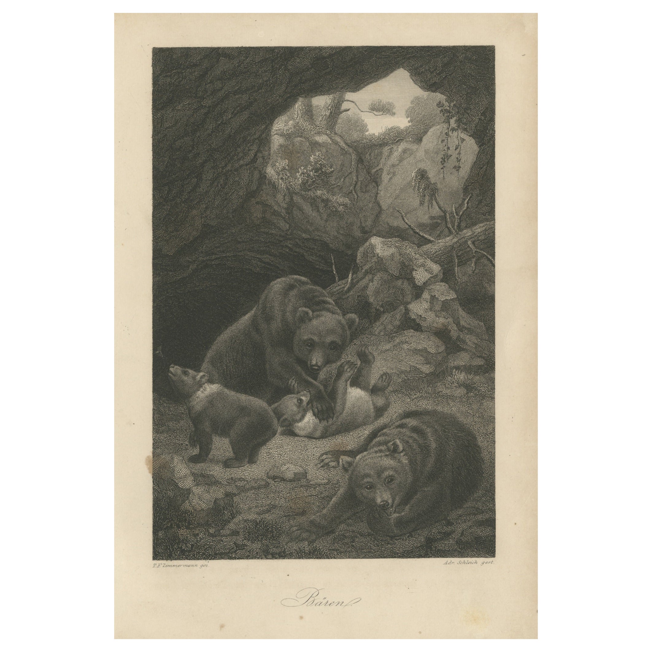 Impression originale et ancienne d'ours dans une grotte en vente