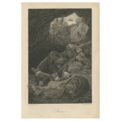 Original Antique Print of Bears in a Cave
