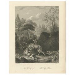 Original Antique Print of Deer Hunting