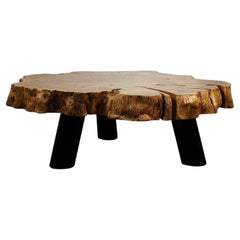 Table basse en Lychee Wood avec pieds en fer noir