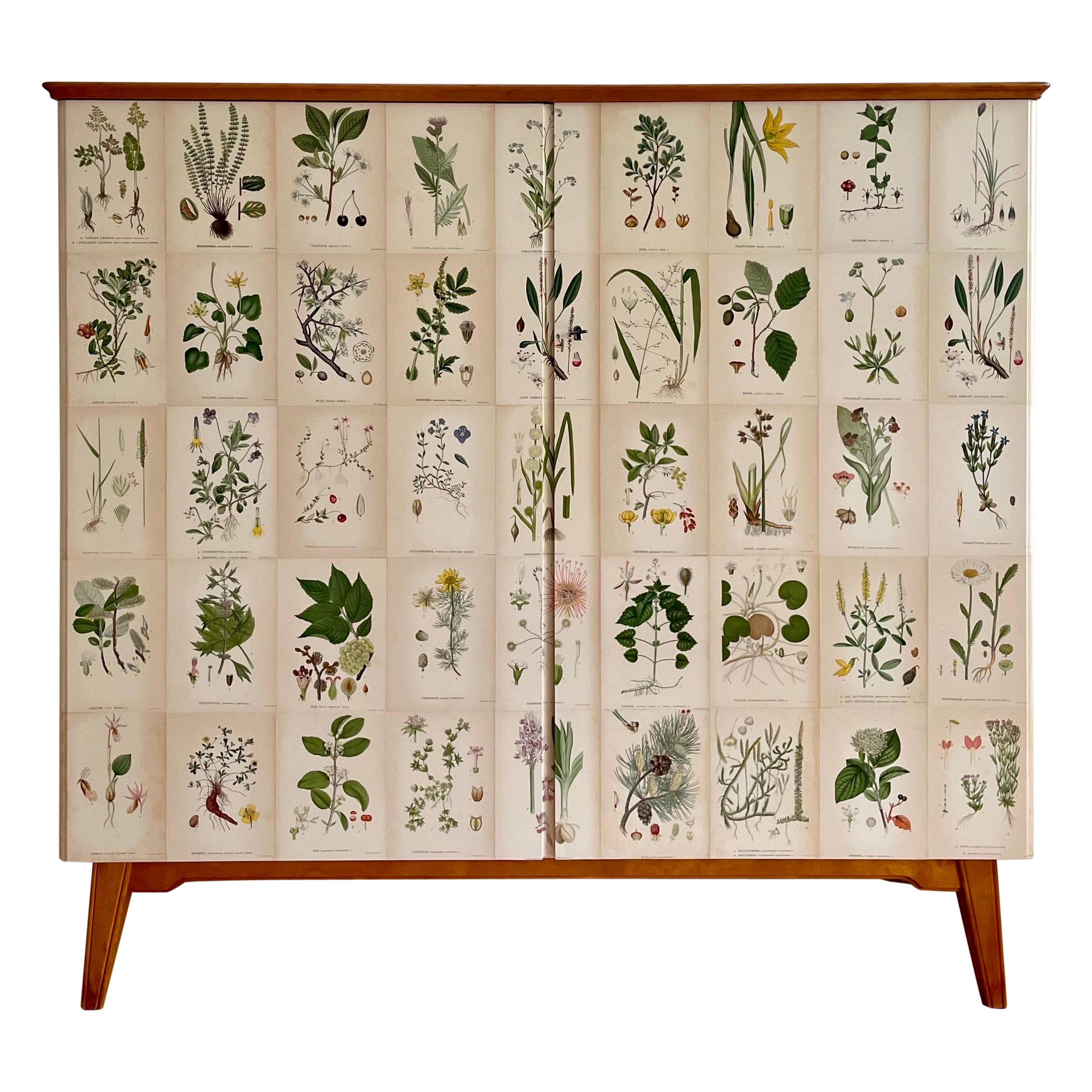 Swedish Modern 1940s Nordens Flora Birch Cabinet in Josef Frank-style 