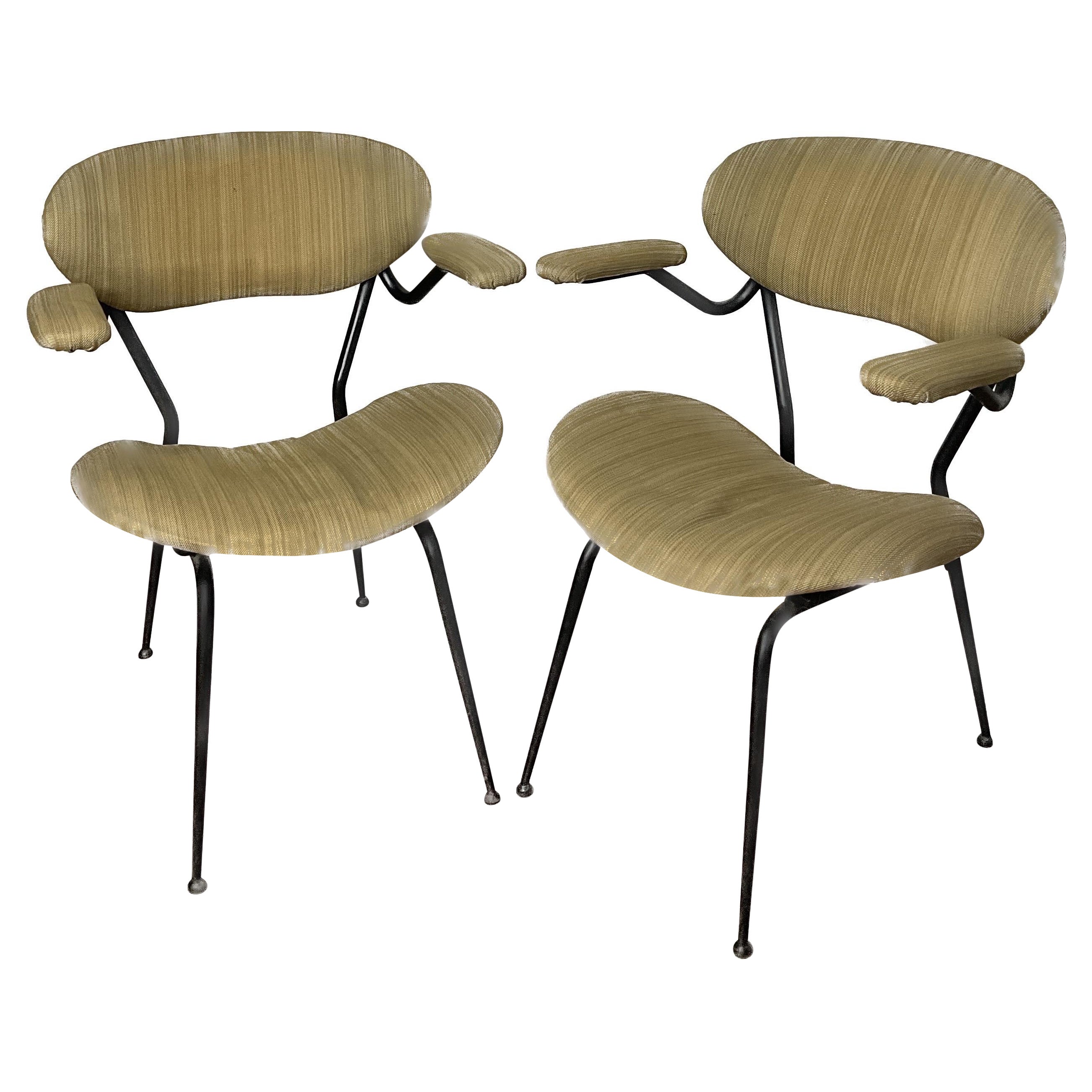 Pair of Armchairs by RIMA Gastone Rinaldi from the 60s