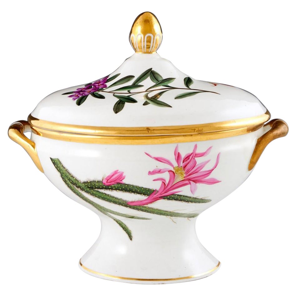 A Chamberlains Worcester Porcelain'Botanical' Sauce Tureen & Cover, circa 1805 For Sale