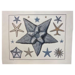 Estampa Contemporánea Italiana Pintada a Mano Vida Marina Japonesa "Estrellas de Mar", 2 de 2