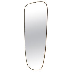 Mid-Century Modern Vintage Full Length Mirror Wall Mirror Plastic Brass, 1950s