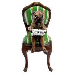 Franz Bergman Cold Painted Pug Bronze