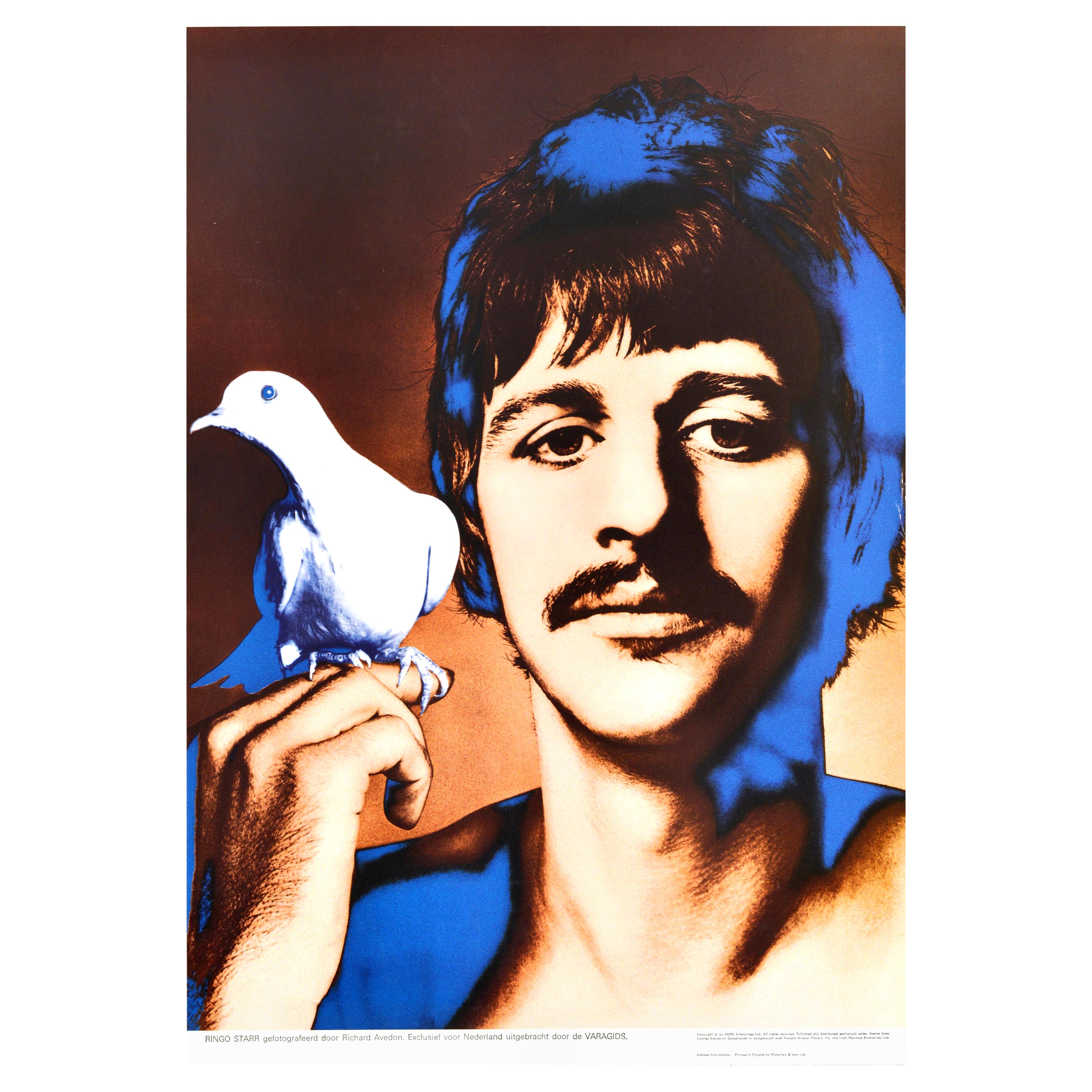 Affiche publicitaire vintage d'origine des Beatles Ringo Starr Peace Dove Avedon