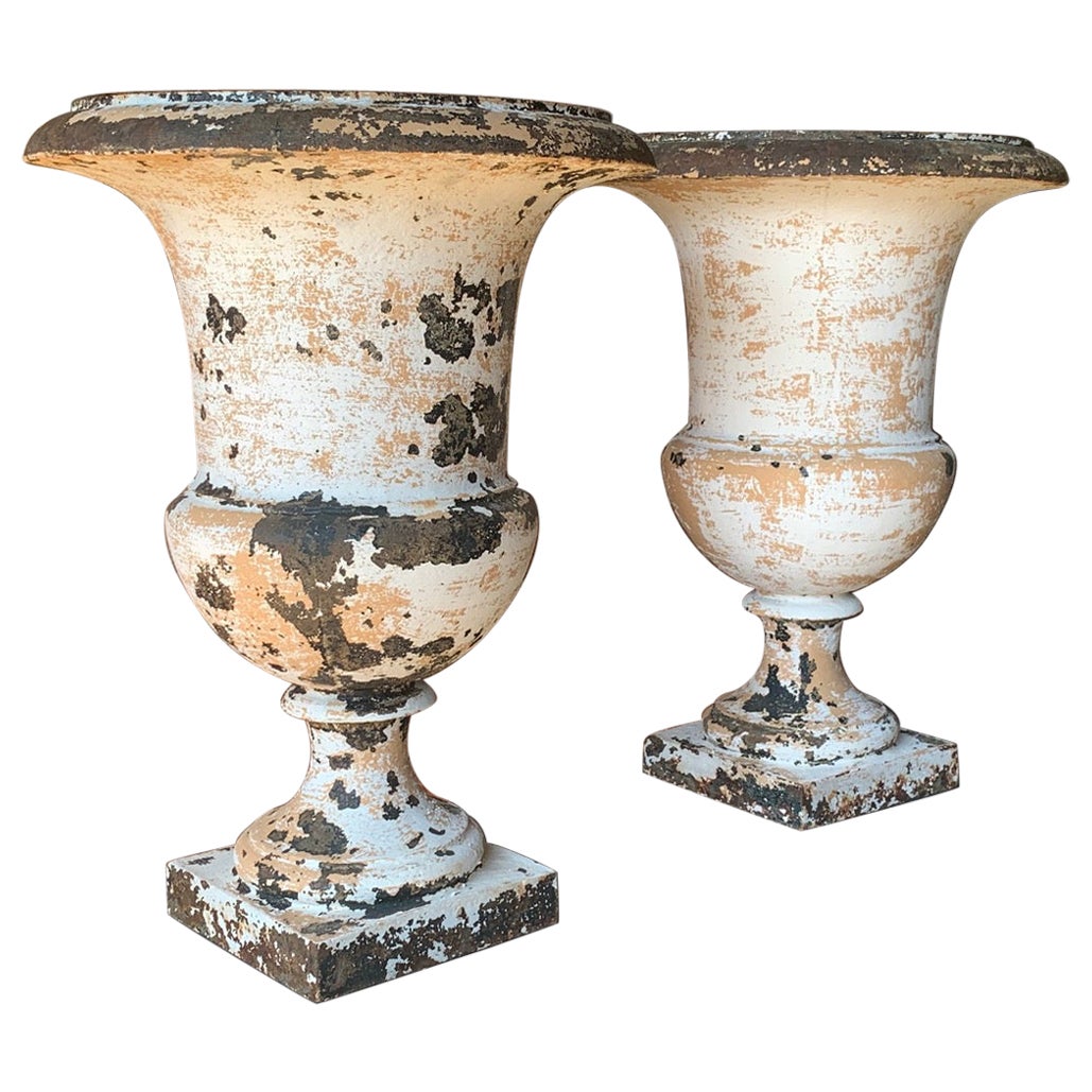 Pair Of 19th Century French Cast Iron Urns For Sale