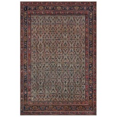 Antique Late 19th Century Bidjar Rug from North West Persia