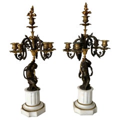 Paire de candélabres en bronze français du 19ème siècle