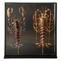 Used Deconstructed Lobster Pair (Homeras Gammarus) (Palinurus Elephas) Under Glass 