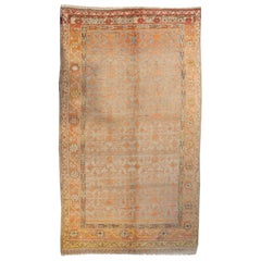 Early 20th Century Khotan Rug