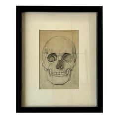 Vintage Skull Still Life Pencil Sketch Drawing, Framed