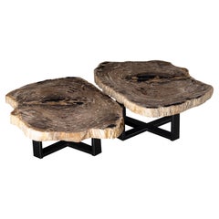 Paire de tables basses ou de centre en bois pétrifié avec base en métal noir