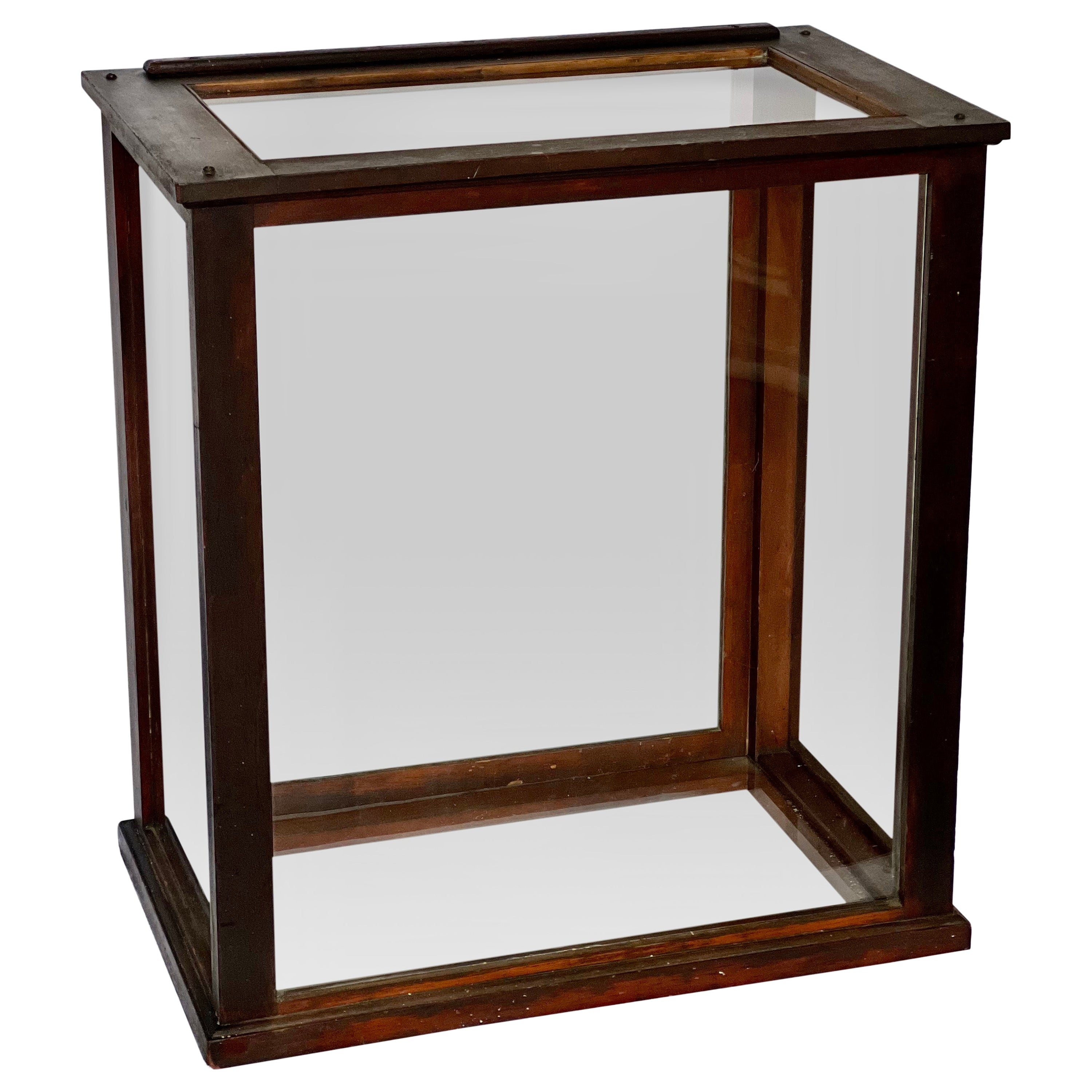 Antique English Mahogany and Glass Countertop Shop Display Case For Sale