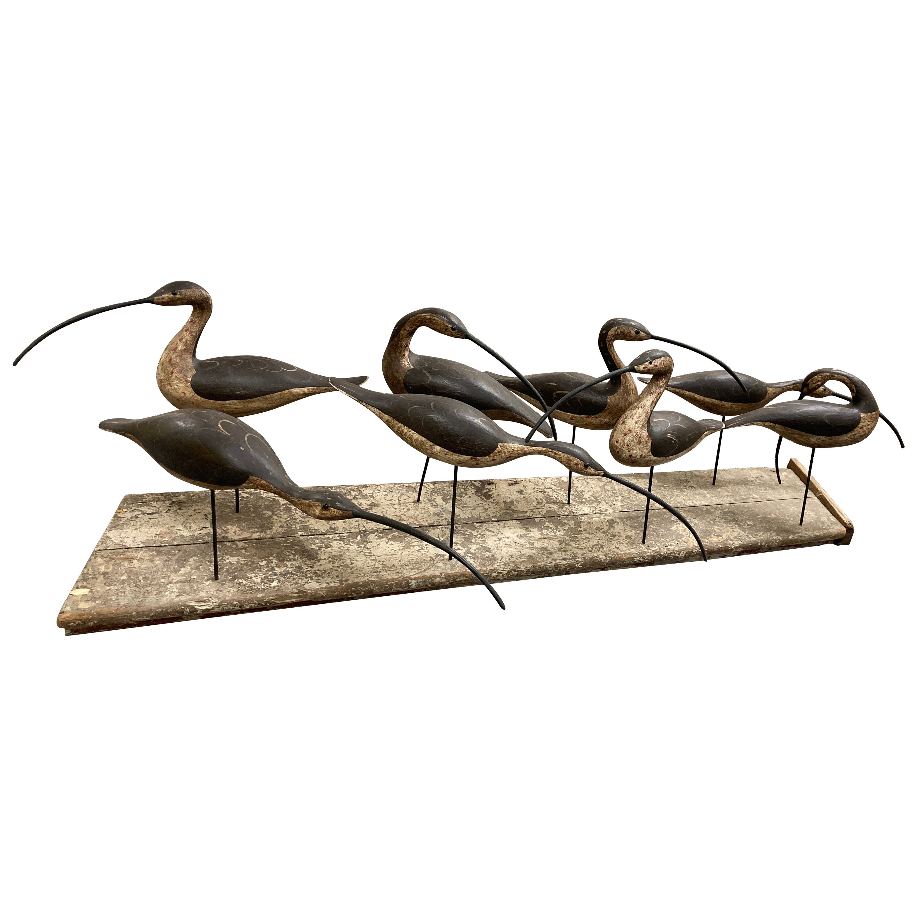Eight Curlews by Guy Taplin