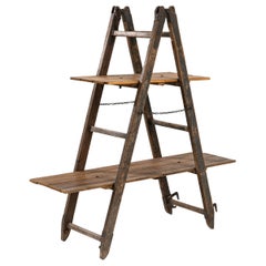 Vintage French Wooden Ladder Shelf